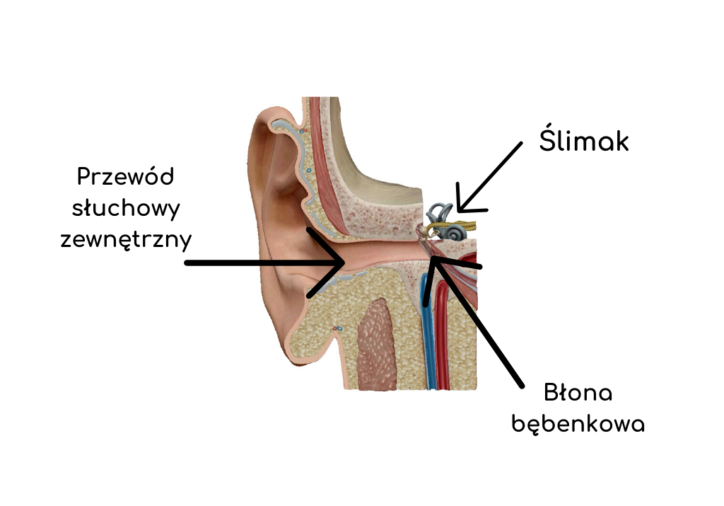 Dlaczego podczas kompresji w komorze hiperbarycznej  zatykają się uszy i jak sobie z tym poradzić